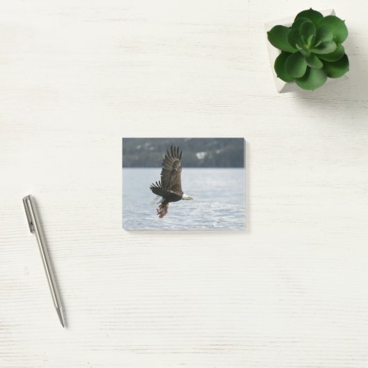 Bald Eagle Fish Retrieval Post-it® Notes (Kantoor)
