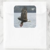 Bald Eagle Fish Retrieval Vierkante Sticker (Tas)