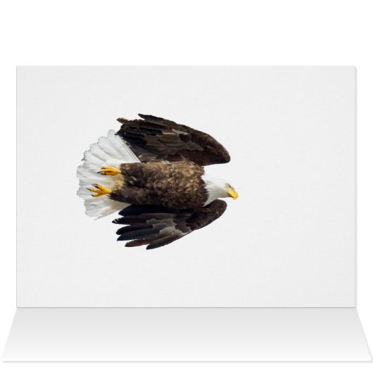Bald Eagle Flash (Binnen Horizontaal (Boven))