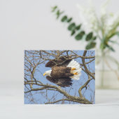 Bald Eagle Flash Briefkaart (Staand voorkant)
