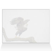 Bald Eagle Flight (Binnen Horizontaal (Boven))