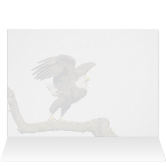 Bald Eagle Flight (Binnen Horizontaal (Boven))