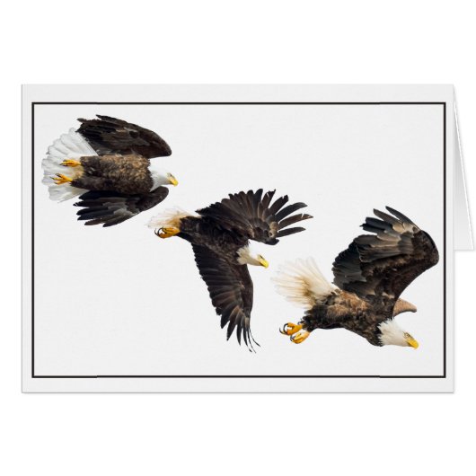 Bald Eagle Flight (Voorkant Horizontaal)