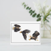 Bald Eagle Flight Briefkaart (Staand voorkant)