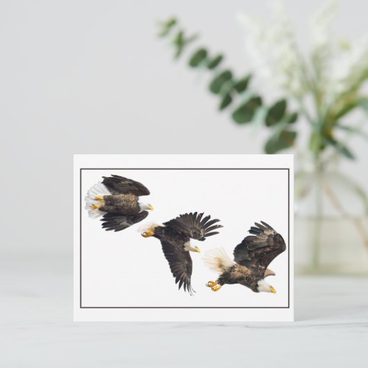 Bald Eagle Flight Briefkaart (Staand voorkant)