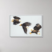 Bald Eagle Flight Canvas Afdruk (Voorkant)