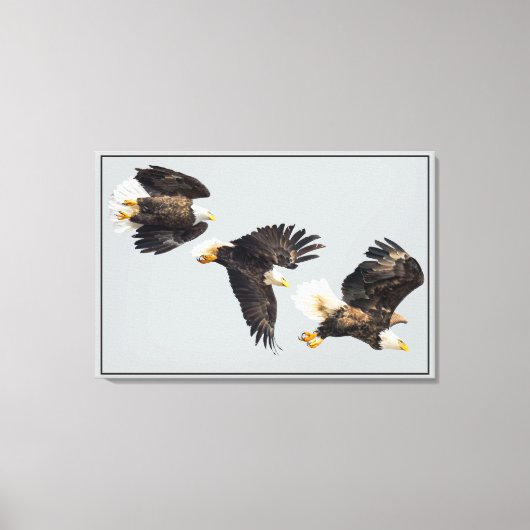 Bald Eagle Flight Canvas Afdruk (Voorkant)