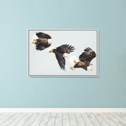 Bald Eagle Flight Canvas Afdruk (Insitu (Houten vloer))