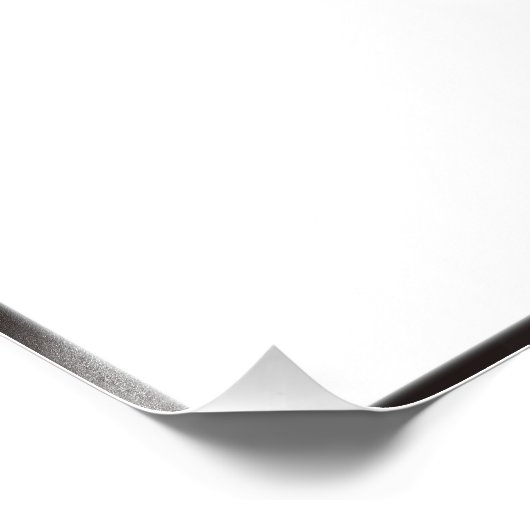 Bald Eagle Flight Foto Afdruk (Hoek)