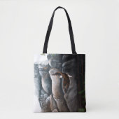 Bald Eagle Flight Rocks Tote Bag (Voorkant)
