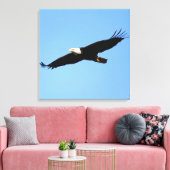 Bald Eagle Flyby Canvas Afdruk (Insitu (Woonkamer))