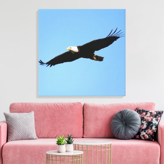 Bald Eagle Flyby Canvas Afdruk (Insitu (Woonkamer))