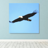 Bald Eagle Flyby Canvas Afdruk (Insitu (Houten vloer))