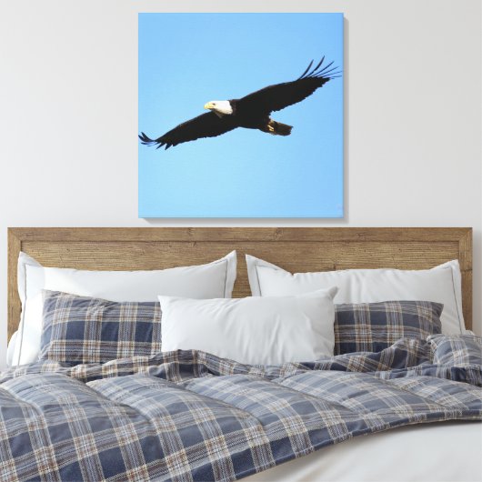 Bald Eagle Flyby Canvas Afdruk (Insitu (Slaapkamer))