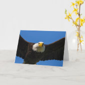 Bald Eagle Flyby Up Close Kaart (Gele Bloem)