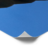 Bald Eagle Flyby Up Close Poster (Hoek)