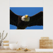 Bald Eagle Flyby Up Close Poster (Keuken)