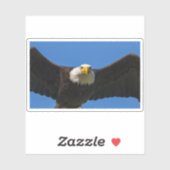 Bald Eagle Flyby Up Close Sticker (Vel)