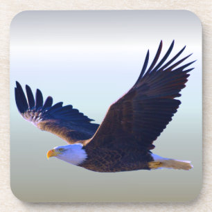 Bald Eagle Flying Bier Onderzetter