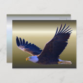 Bald Eagle Flying Briefkaart (Voorkant / Achterkant)