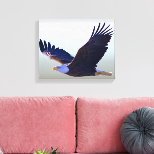 Bald Eagle Flying Canvas Afdruk (Insitu (Woonkamer))