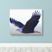 Bald Eagle Flying Canvas Afdruk (Insitu (Houten vloer))