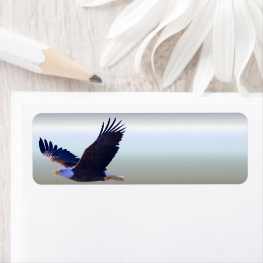 Bald Eagle Flying Etiket (Insitu)