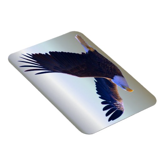 Bald Eagle Flying Magneet (Rechterzijde)