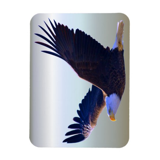 Bald Eagle Flying Magneet (Verticaal)