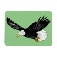 Bald Eagle Flying Magnet Uw Kleuren