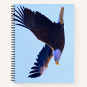 Bald Eagle Flying Notitieboek (Voorkant)
