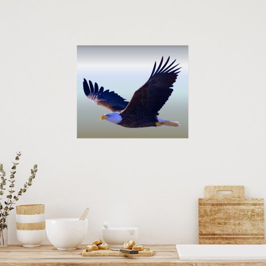 Bald Eagle Flying Poster (Keuken)