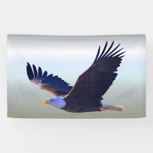 Bald Eagle Flying Spandoek (Horizontaal)