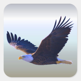 Bald Eagle Flying Vierkante Sticker