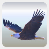 Bald Eagle Flying Vierkante Sticker (Voorkant)