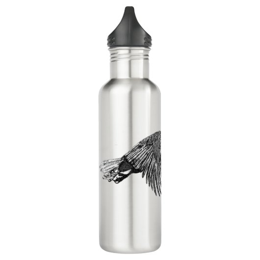 Bald Eagle Flying Waterfles (Links)