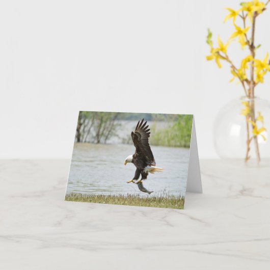 Bald Eagle Folded Card Kaart (Gele Bloem)