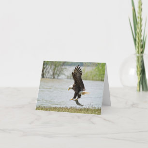 Bald Eagle Folded Card Kaart