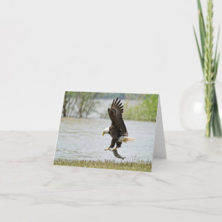 Bald Eagle Folded Card Kaart