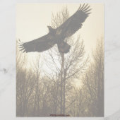 BALD EAGLE & FOREST Letterhead Design Briefhoofd Sjabloon (Voorkant)