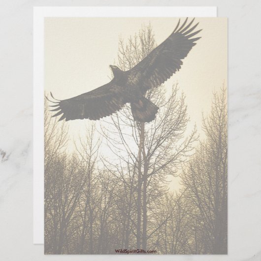 BALD EAGLE & FOREST Letterhead Design Briefhoofd Sjabloon (Voorkant / Achterkant)