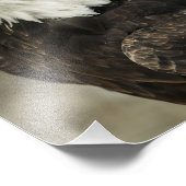 Bald Eagle Foto Afdruk (Hoek)