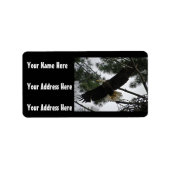 Bald Eagle Foto Etiket (Voorkant)