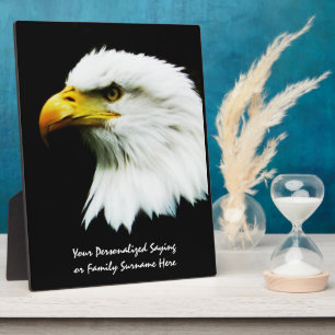 Bald Eagle Foto op Black Fotoplaat
