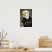 Bald Eagle Foto Poster (Keuken)