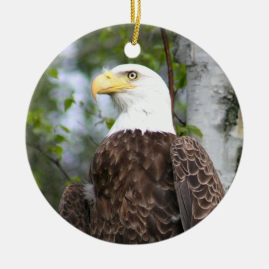Bald Eagle-fotografie met bijbelversie Keramisch Ornament (Voorkant)