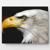 Bald Eagle Fotoplaat (Voorkant)