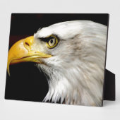Bald Eagle Fotoplaat (Zijkant)