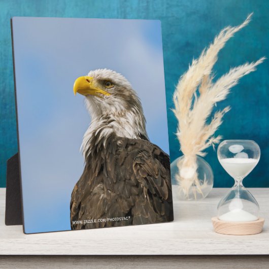 Bald Eagle Fotoplaat (Zijkant)