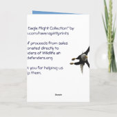 Bald Eagle Free Spirit Flight Collectie Kaarten (Achterkant)